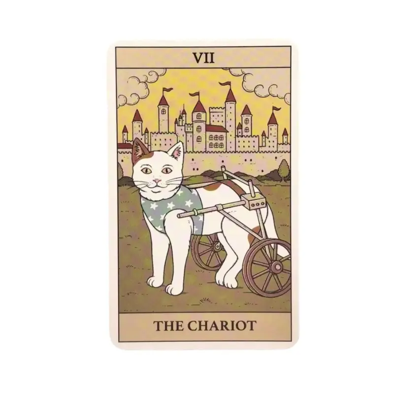 Tarot  Cats Rule the Earth con 78 cartas gatos - 5