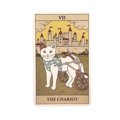 Tarot  Cats Rule the Earth con 78 cartas gatos - miniatura 5