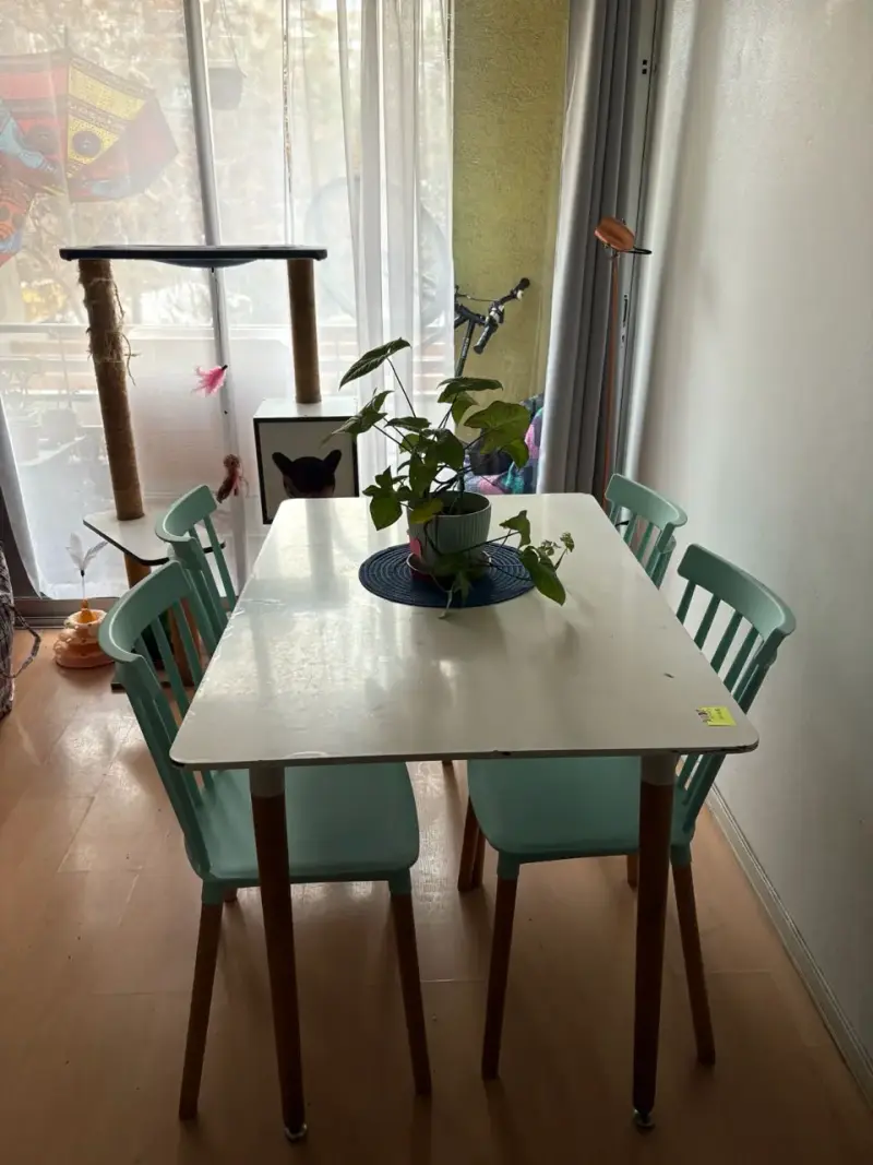 Mesa de comedor con sillas color menta - 1