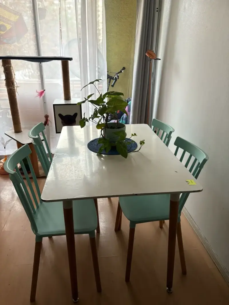 Mesa de comedor con sillas color menta - 2