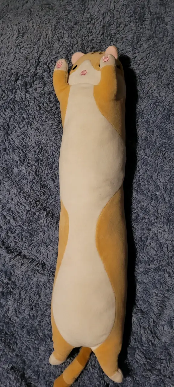 Peluche de gato tierno y suave - 3