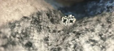 Anillo de plata con cristales brillantes - miniatura 1