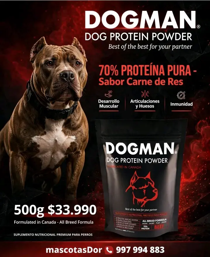 Proteína para Perros Dogman Sabor Carne de Res 500g
