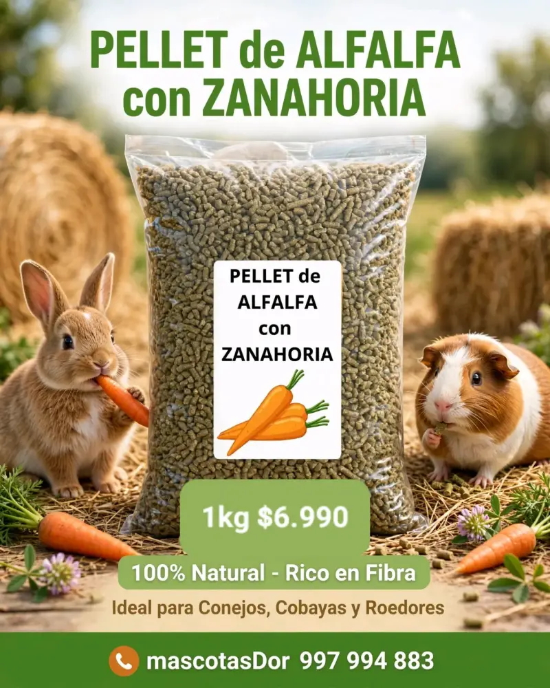 Pellet de alfalfa con zanahoria 1kg para roedores