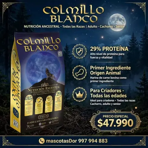 Alimento para Perros Colmillo Blanco Nutrición Ancestral - 1