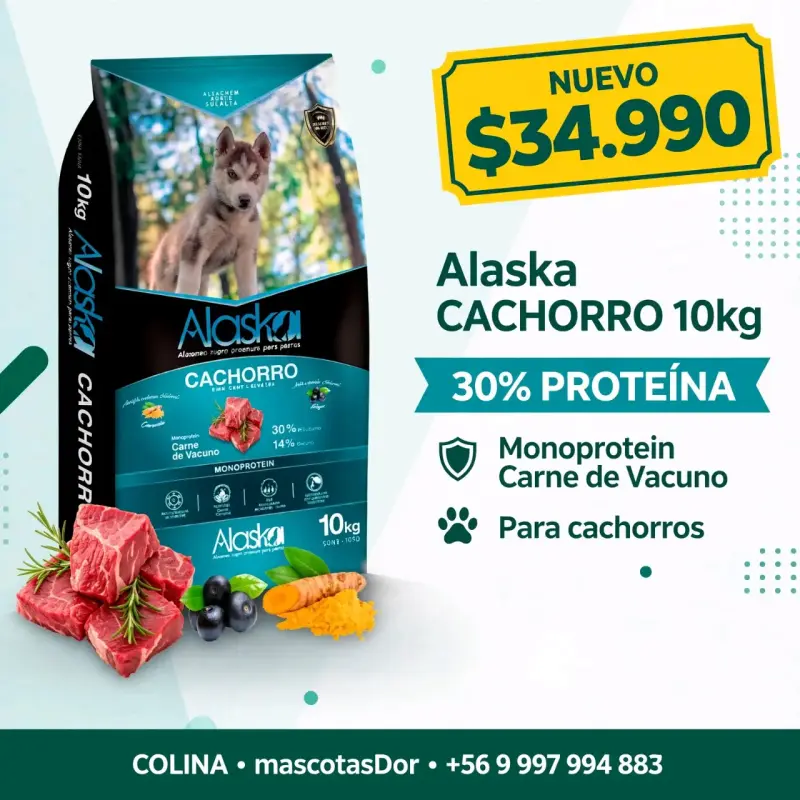 Alimento para cachorros Alaska 10kg con carne de vacuno - 1