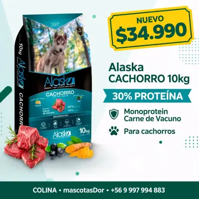Alimento para cachorros Alaska 10kg con carne de vacuno - miniatura 1