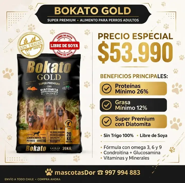 Alimento para perros adultos Bokato Gold 20kg - 1