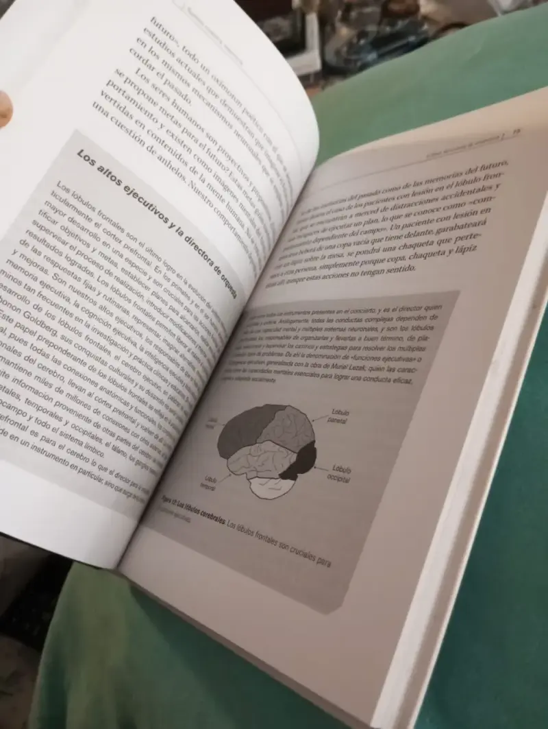 Libro Somos nuestra memoria - Emilio García (Neuro - 2