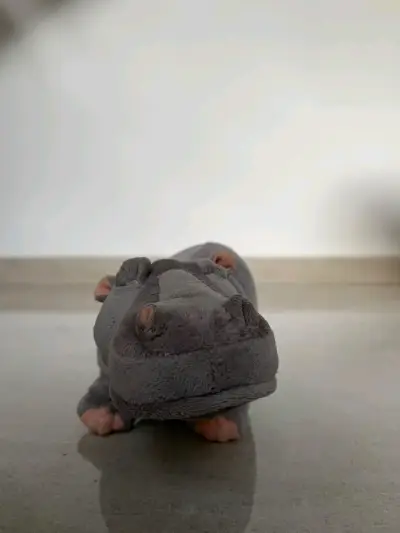 Surtido peluches - miniatura 2