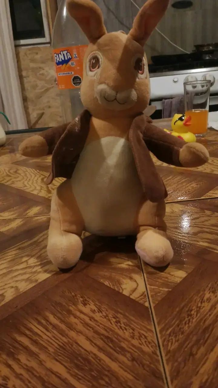 Peluche de conejo con chaqueta marrón - 1