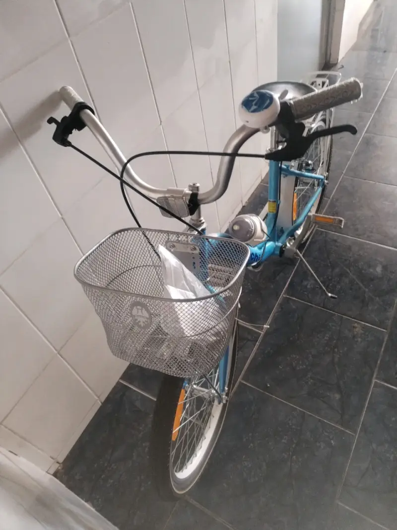 Bicicleta urbana con canasto y timbre - 1