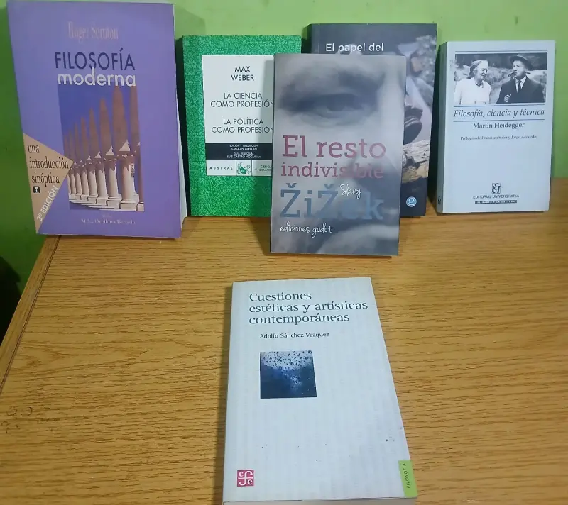 Libro Cuestiones Estéticas y Artística Contemporán