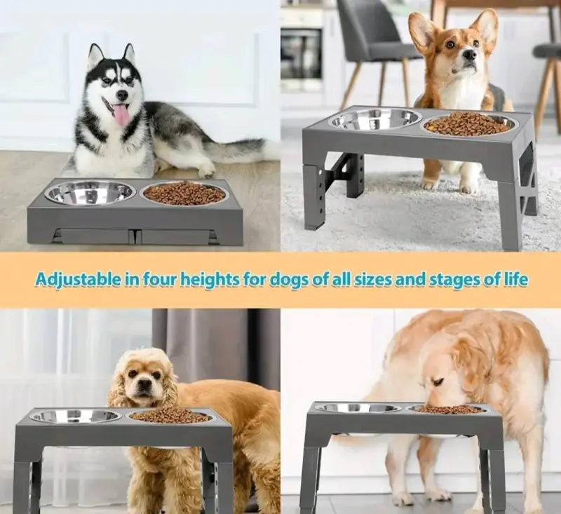 Comedero elevado para mascotas con doble plato - 3