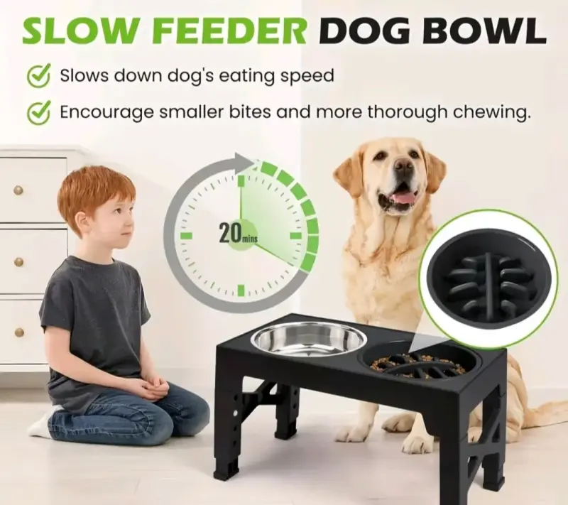 Comedero elevado para mascotas con doble plato - 4