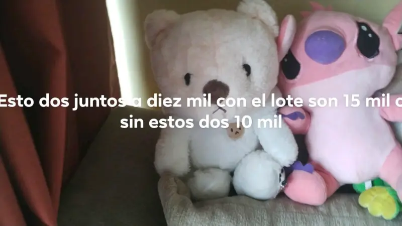 Conjunto de Peluches un osito y angela rosa