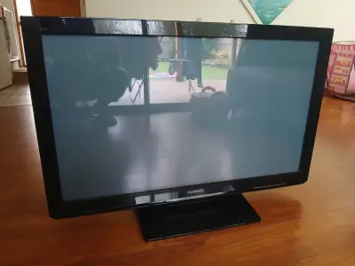Televisor Panasonic de 42 pulgadas en buen estado - miniatura 1