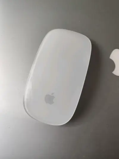 Mouse inalámbrico Apple Magic Mouse - miniatura 1