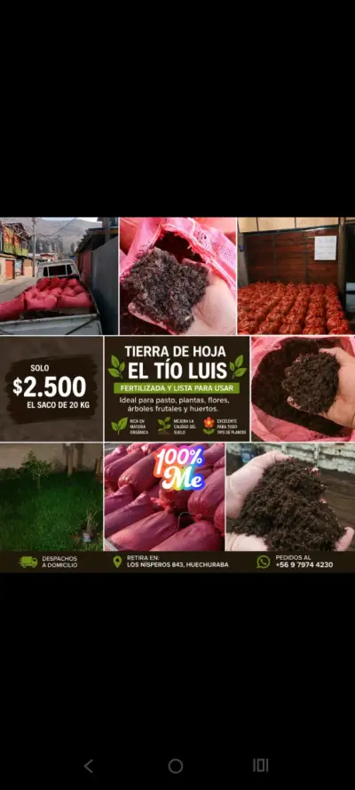 Tierra de hoja fertilizada - miniatura 1