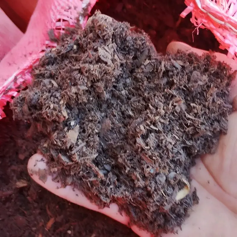 Tierra de hoja fertilizada - 3