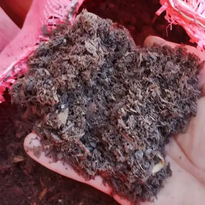 Tierra de hoja fertilizada - miniatura 3
