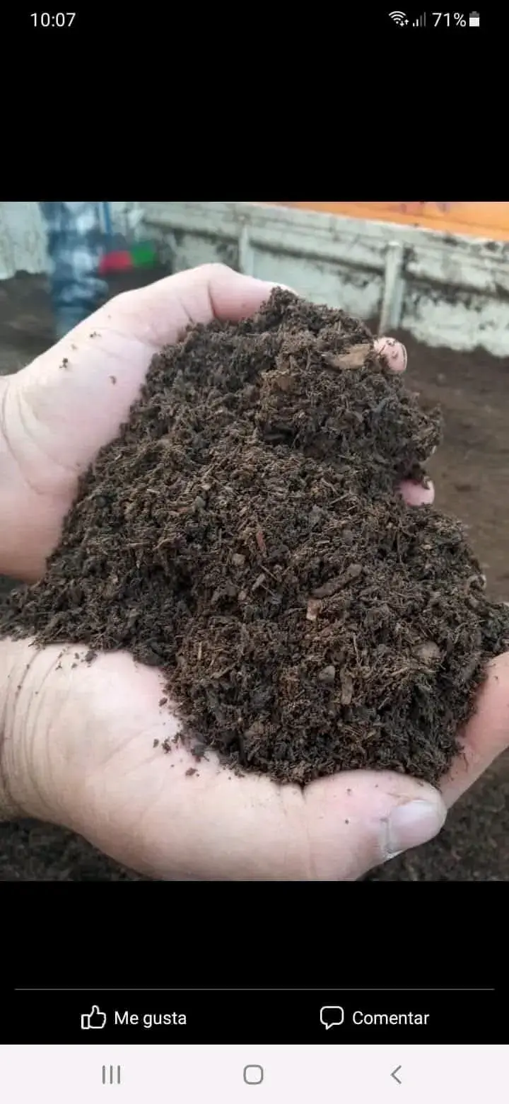 Tierra de hoja orgánica para jardinería - 2