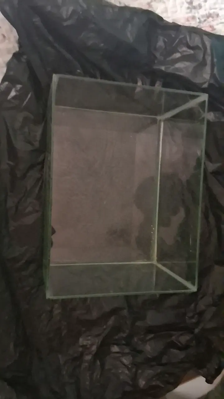 Contenedor de vidrio mediano 20.5 x 27 cm - 3