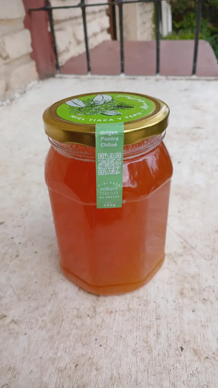 Miel pura de bosque chilote 500g