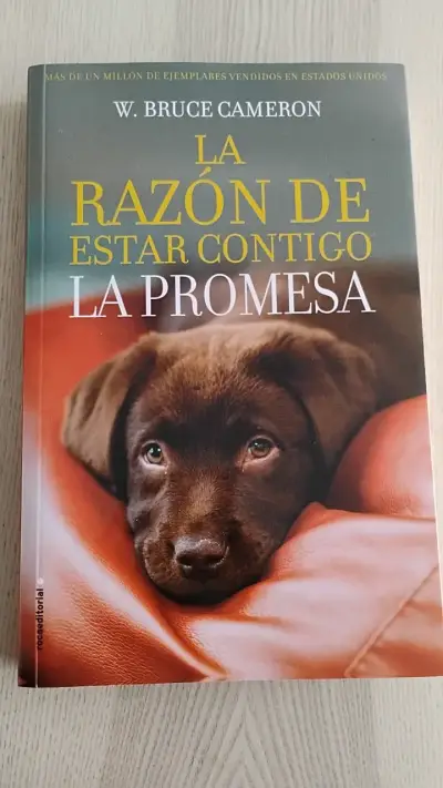 Libro 'La Razón de Estar Contigo: La Promesa' - miniatura 1