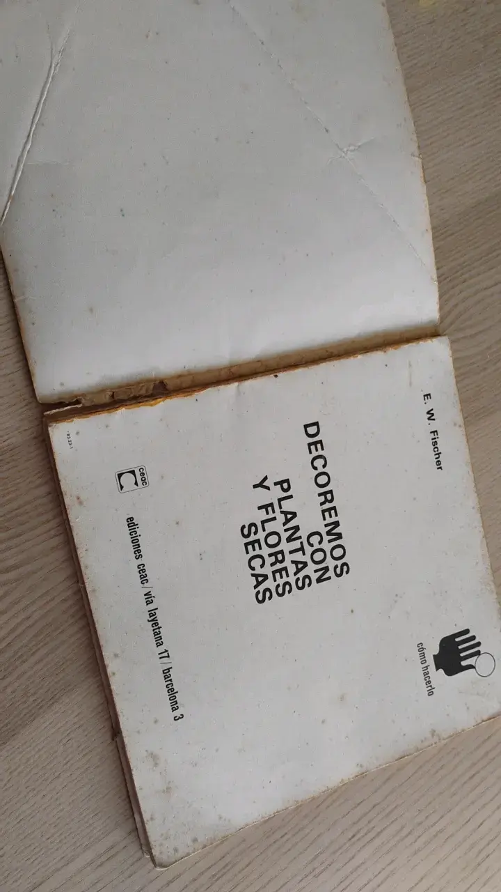 Libro 'Decoremos con Plantas y Flores Secas' - 3