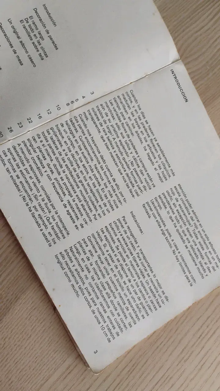 Libro 'Decoremos con Plantas y Flores Secas' - 5