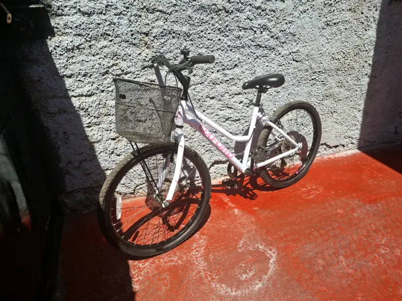 Bicicleta Oxford para Mujer con Canasto - 2