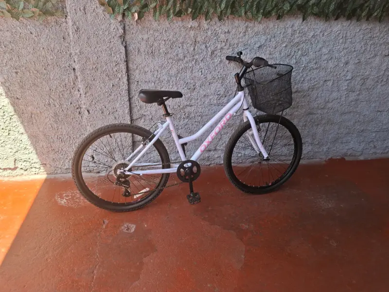 Bicicleta Oxford para Mujer con Canasto - 3