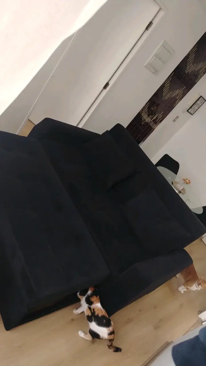 Sofá cama negro en buen estado. - 2