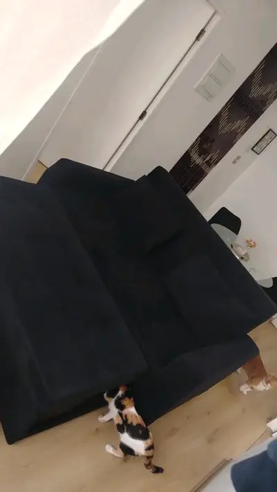 Sofá cama negro en buen estado. - miniatura 2