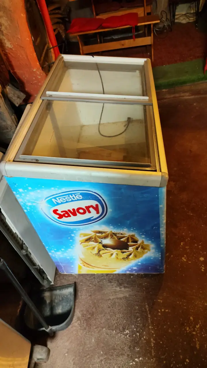 Congelador horizontal Nestlé Savory para helados - 1