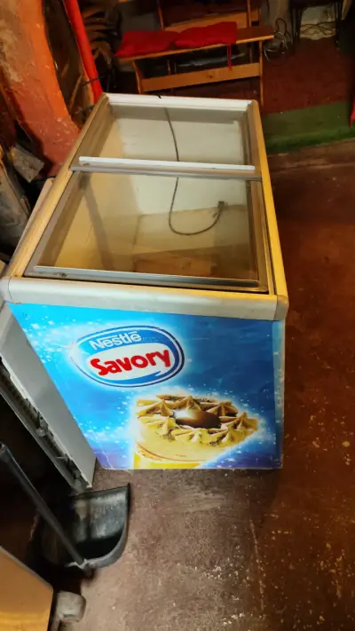 Congelador horizontal Nestlé Savory para helados - miniatura 1