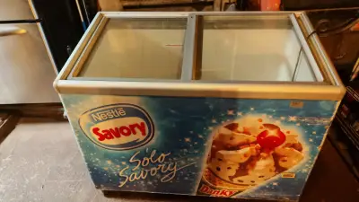 Congelador horizontal Nestlé Savory para helados - miniatura 3
