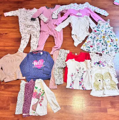 Lote ropa niñas T 18-24 meses - miniatura 1