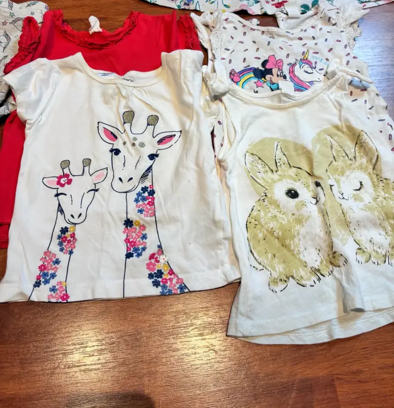 Lote ropa niñas T 18-24 meses - 5