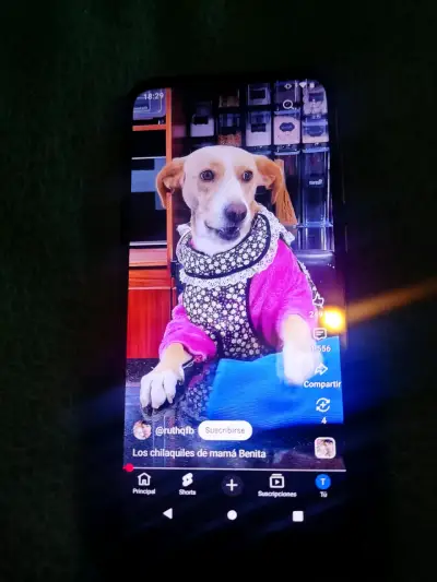 Smartphone Motorola Moto E6i con Android 10 - miniatura 3