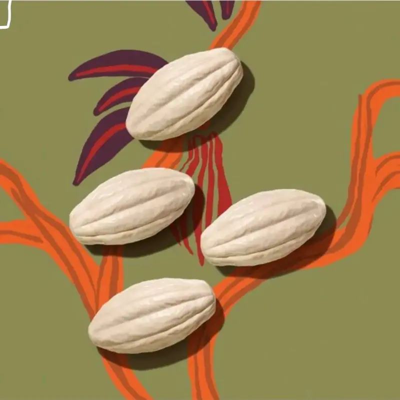 Jabon en barra natura ekos 100g Pack x 4 - 2