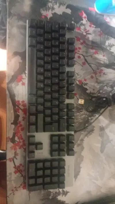 Teclado USB Trust con diseño ergonómico - miniatura 1