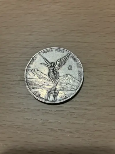 Moneda de plata pura 1 onza 2003 - miniatura 1