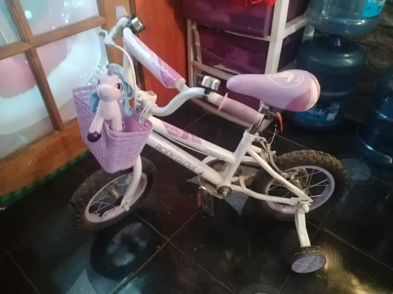 Parrilla de hierro, kinet xbox360, bicicleta niña - 3