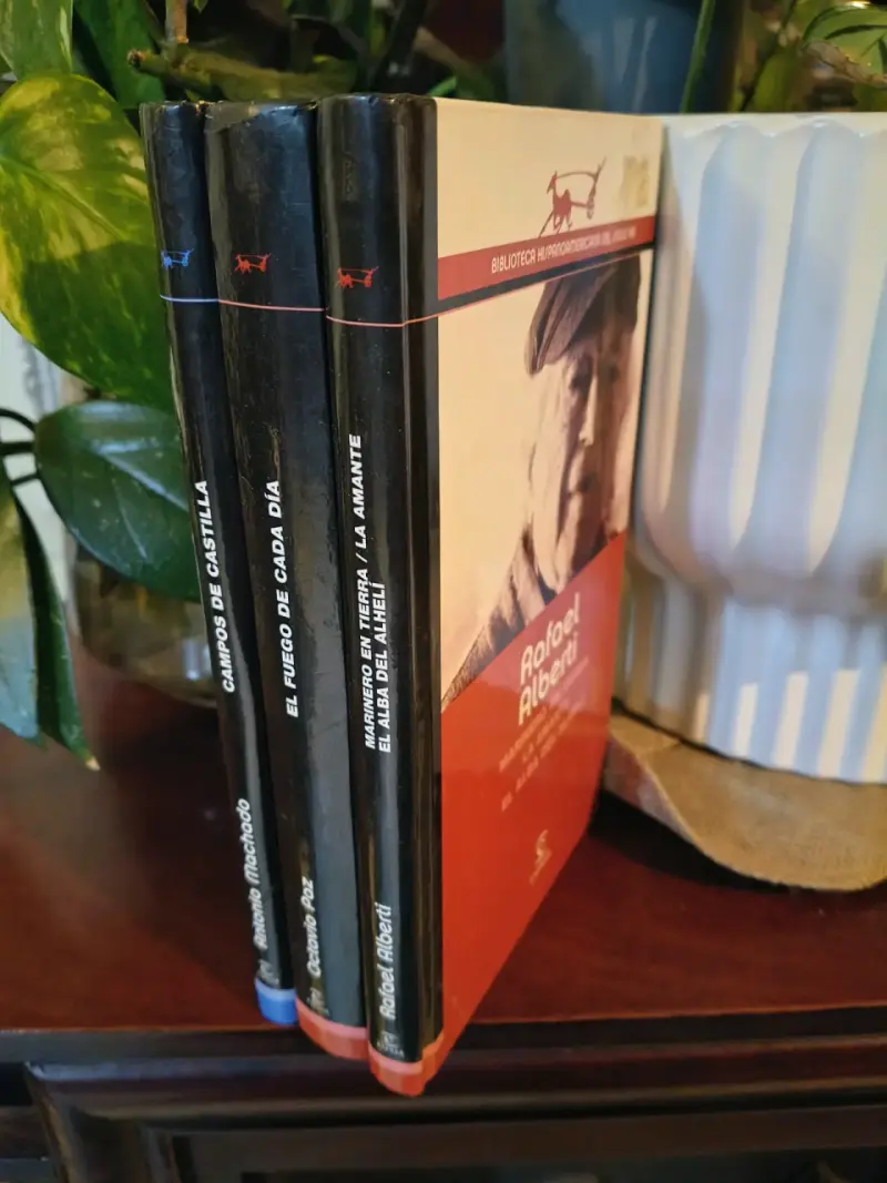 Lote de libros Poesía - 2
