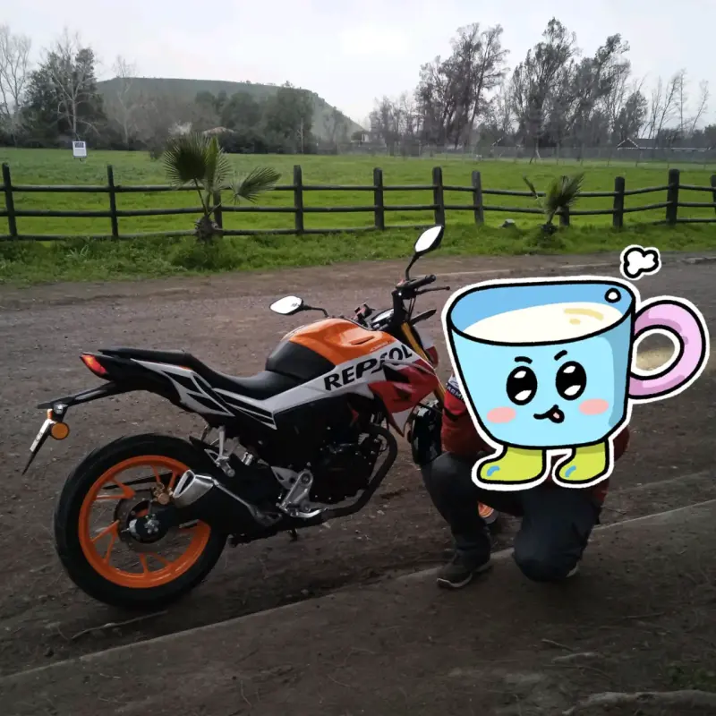 Moto Honda Repsol CBR 250R en buen estado - 5