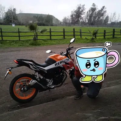 Moto Honda Repsol CBR 250R en buen estado - miniatura 5