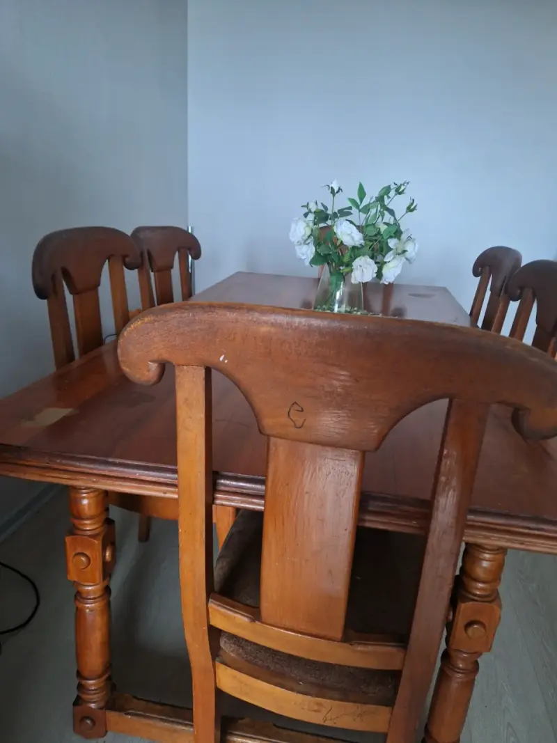 Mesa de comedor de RaulÍ con sus 6 sillas. - 2