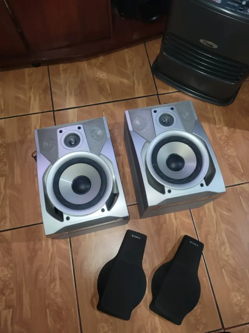 Parlantes Sony de alta potencia para sonido envolvente - 2